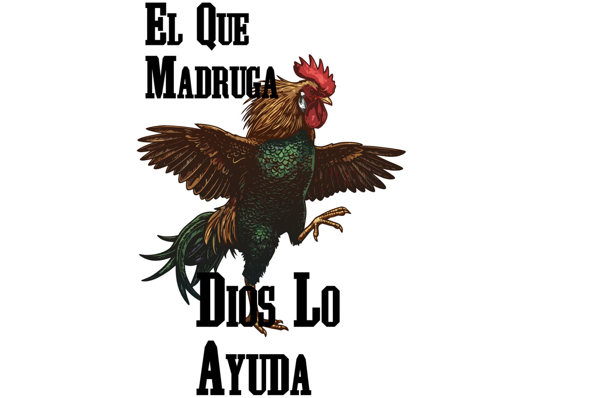 Gallo